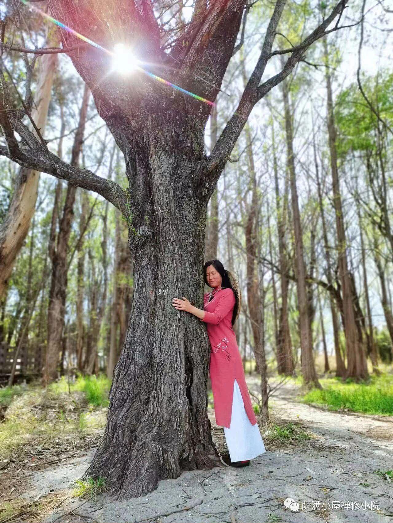 Tree in natural surroundings