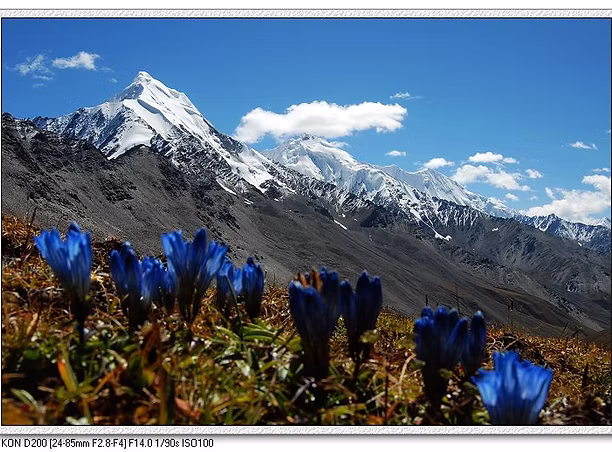 Gongga Mountain Trekking & Yoga Adventure – King of Sichuan Mountains - Image 2
