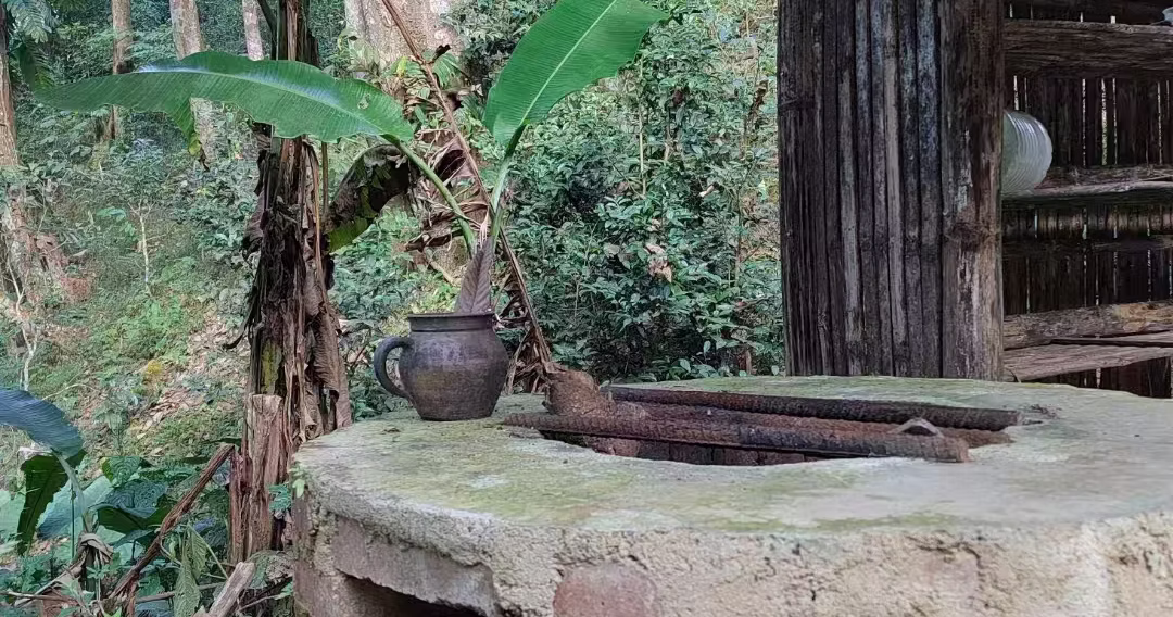 5 Days Tea Plantation and Tantra Yoga Retreat in Xishuangbanna - Image 3